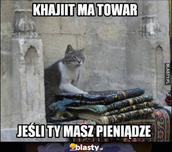 kot-khajiit-ma-towar-jesli-ty-masz_2022-09-22_02-21-08 (1)