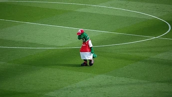 51683866_1601885929465269_r